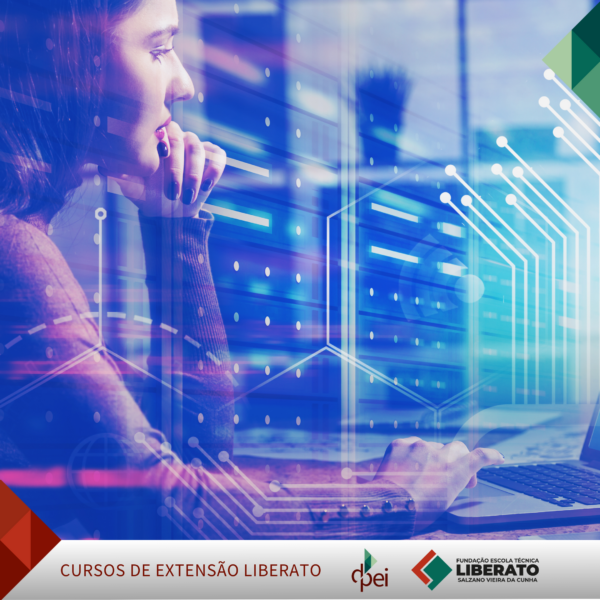 Introdução à Qualidade de Software com Ênfase em Testes de Acessibilidade – (EaD) - 6 horas - Image 3