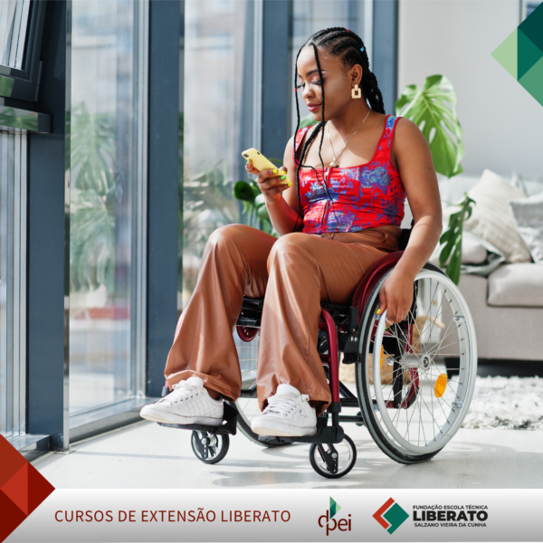 Diretrizes de Acessibilidade para conteúdo da Web – WCAG - (EaD) - 6 horas - Image 2